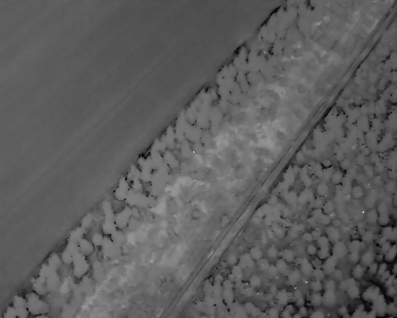 Wildtiersuche Drohne - Thermal